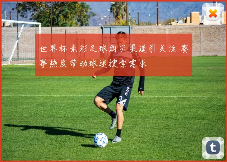 世界杯竞彩足球购买渠道引关注 赛事热度带动球迷搜索需求