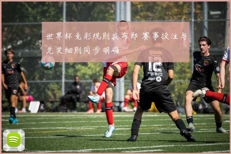 世界杯竞彩规则发布即 赛事投注与兑奖细则同步明确