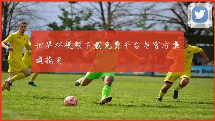 世界杯视频下载免费平台与官方渠道指南
