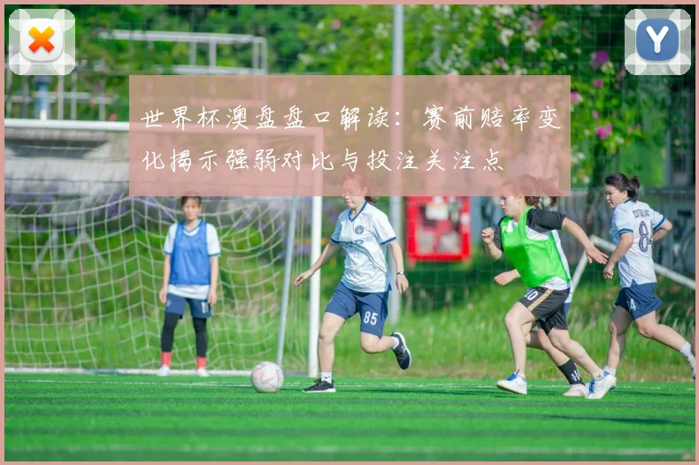 世界杯澳盘盘口解读:赛前赔率变化揭示强弱对比与投注关注点