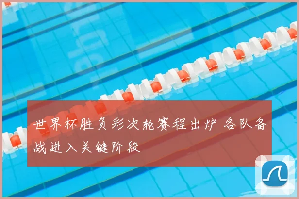 世界杯胜负彩次轮赛程出炉 各队备战进入关键阶段