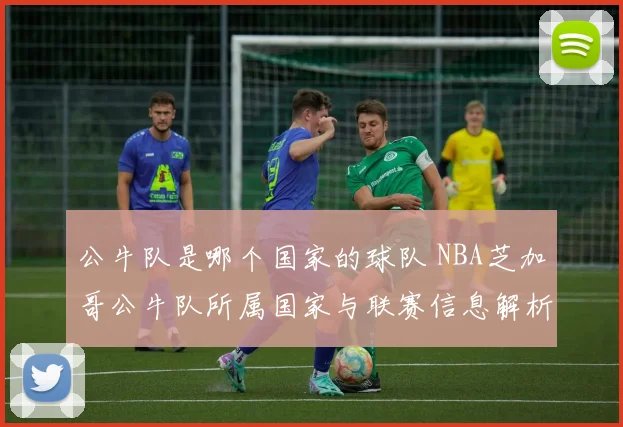 公牛队是哪个国家的球队 NBA芝加哥公牛队所属国家与联赛信息解析