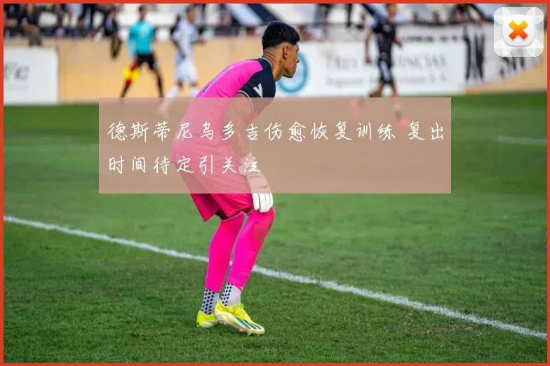 德斯蒂尼乌多吉伤愈恢复训练 复出时间待定引关注