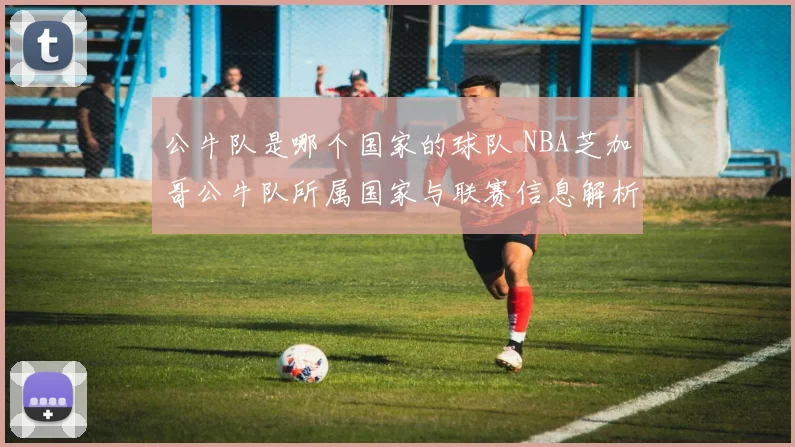 公牛队是哪个国家的球队 NBA芝加哥公牛队所属国家与联赛信息解析