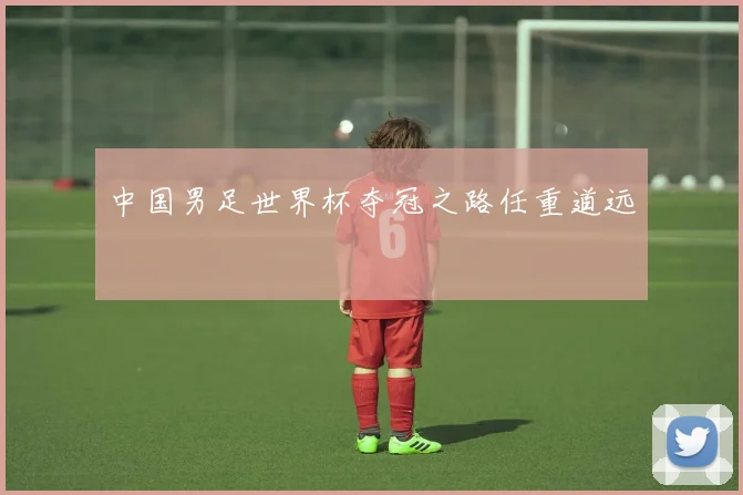 中国男足世界杯夺冠之路任重道远