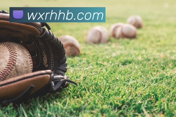 云顶集团官方入口服务体系