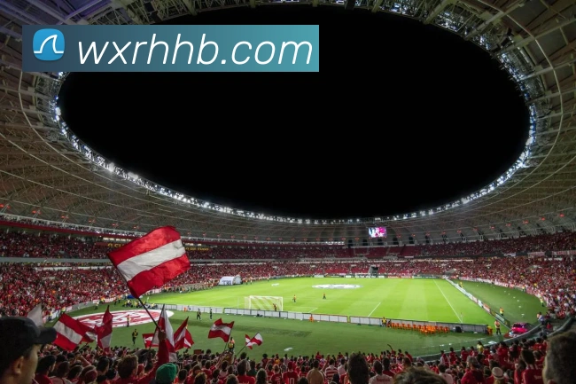 多媒体互动体验